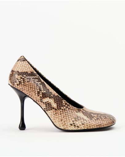 Sand Snake