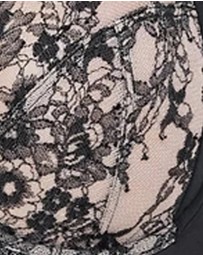 Skarlett Blue - Entice Fuller Bust Sheer Lace Bra with Side Support