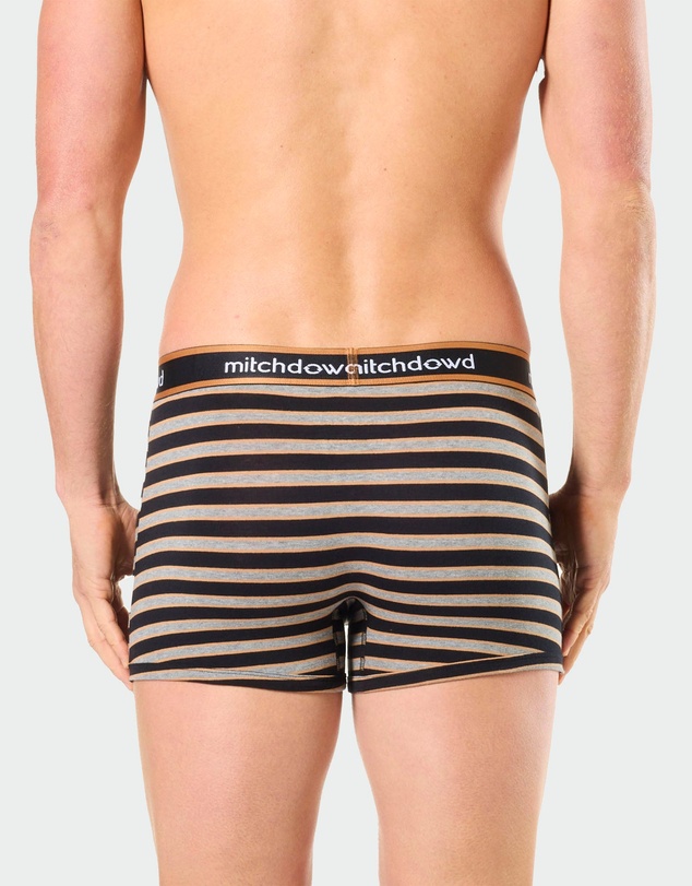 Mitch Dowd - Mitchdowd Mens 3 Pack Trunks in Stripe, Grey and Cockatoo Print