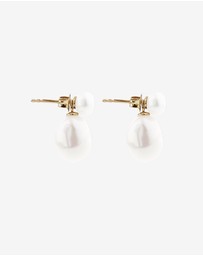 Michael Hill - 6.5mm Bar Drop Earrings with Cultured Freshwater Pearls in 10kt Yellow Gold