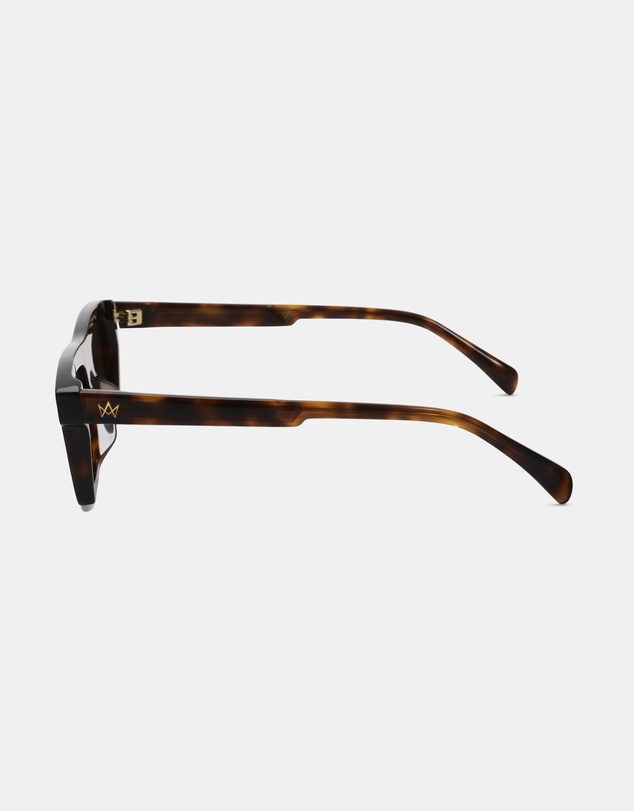 AM Eyewear - Steeb