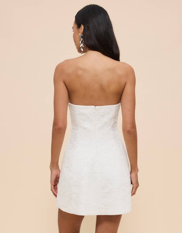 CHANCERY - Lani Strapless Structured Lace Mini Dress