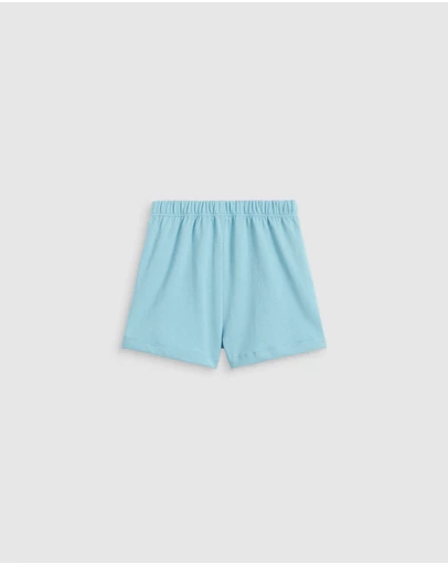 Seed Heritage - Bubble Logo Short
