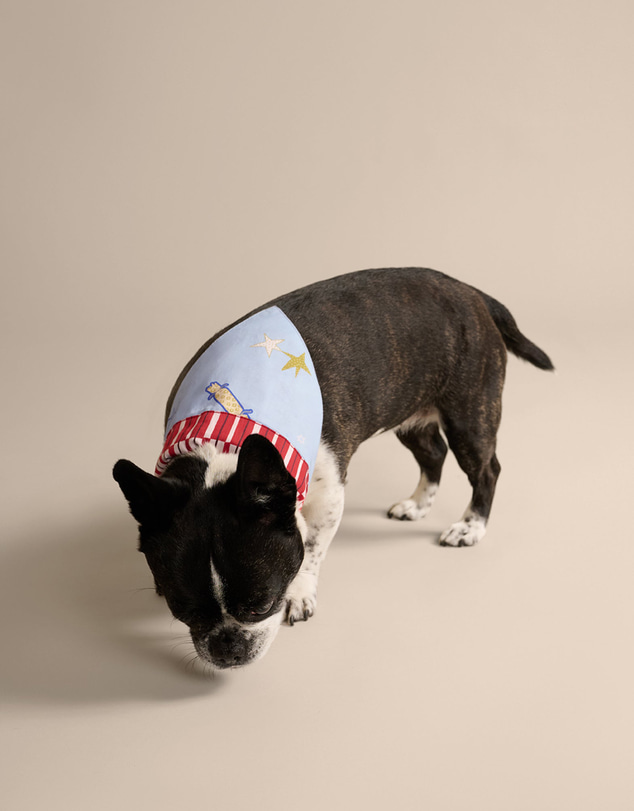 Resting - Soft Woven Cotton Lucky Pet Bandana