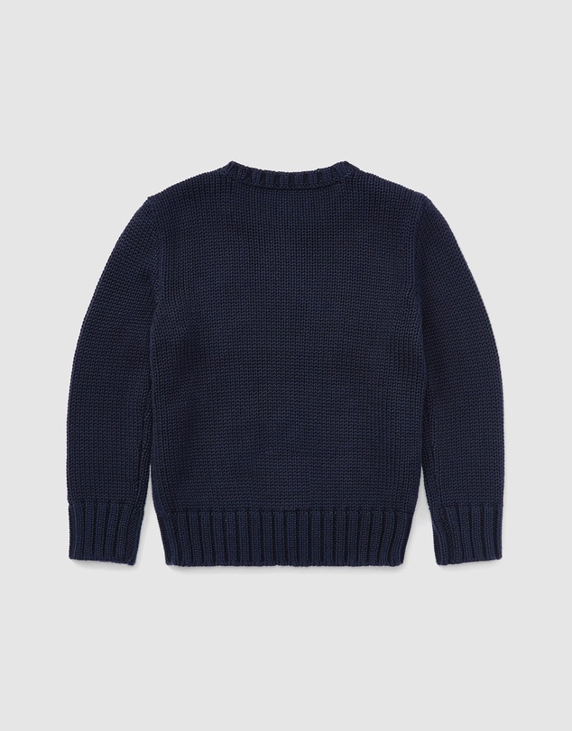 Polo Ralph Lauren - Flag Sweater - Kids