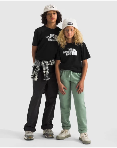 The North Face - Evolution Halfdome Tee - Teens