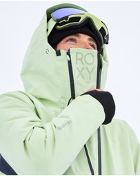 Roxy - Womens Gore-Tex Stretch Purelines Snow Jacket