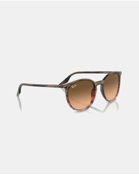 Ray-Ban - 0RB2204