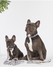 Mog & Bone - Multi-Function Hemp Dog Lead - Charcoal Hampton Stripe