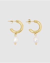 Pastiche - Molly Hoops