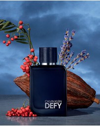 Calvin Klein - Calvin Klein Defy Parfum for Men
