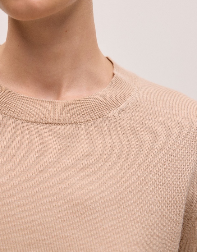 Trenery - Merino Classic Crew in Camel
