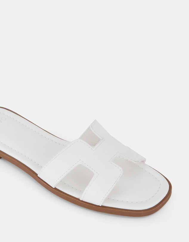 Novo - Sachie Slides