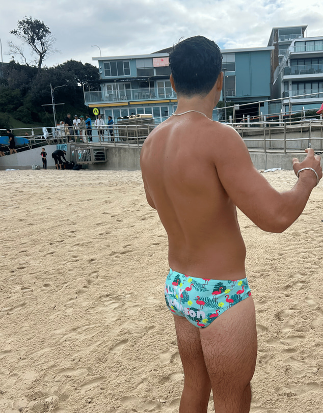 Salty Johnson - Flamingos Brief