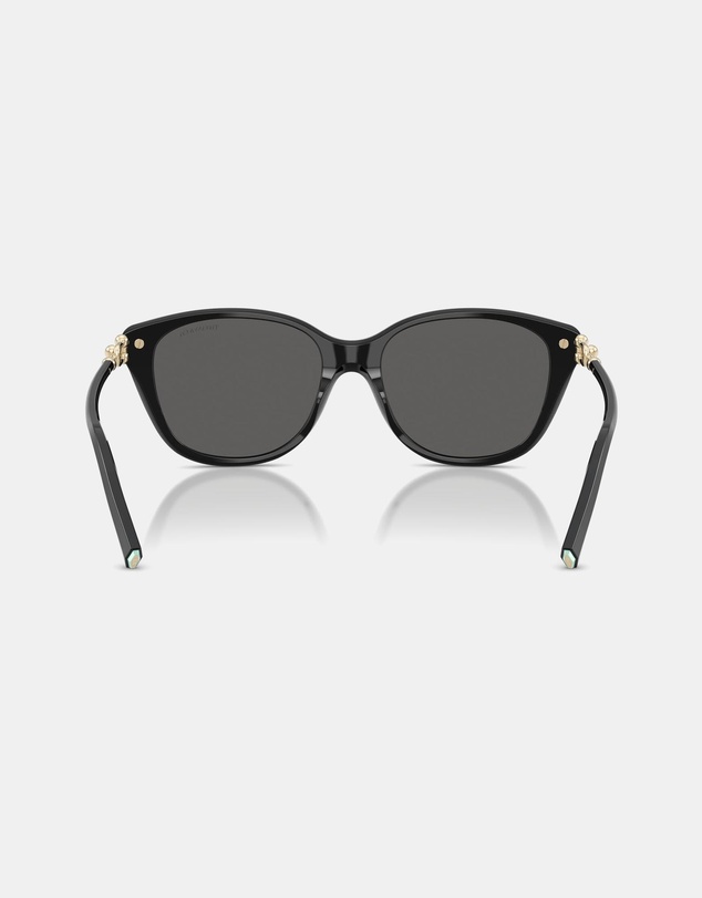 Tiffany & Co. - 0TF4267