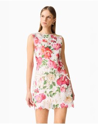 Elliatt - Roselle Shift Mini