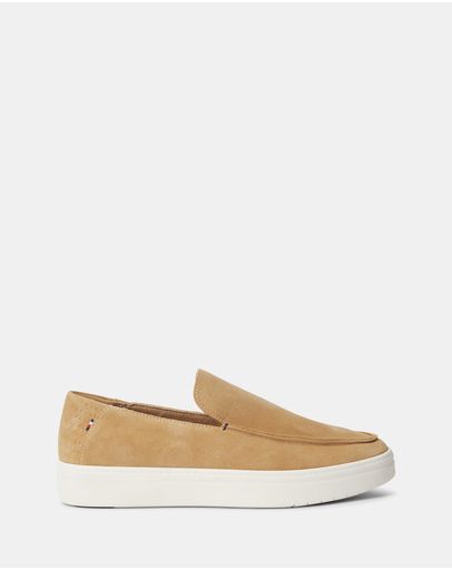 Safari Canvas