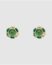 Ted Baker - GEMME: Crystal Gem Cluster Stud Earrings