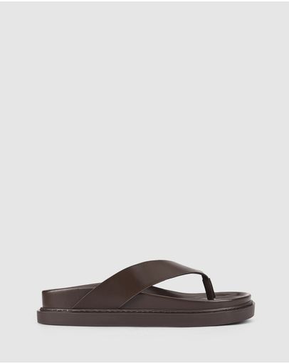 Chocolate Brown