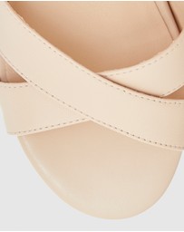 Easy Steps - Shelly