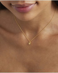 By Charlotte - Crystal Lotus Padlock Necklace