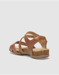 Wide Steps - Fandango