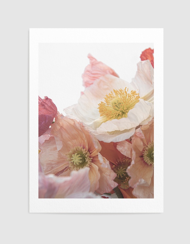 Olive et Oriel - Luxe Poppy I Art Print