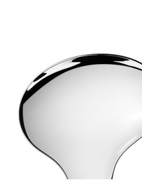 Georg Jensen - Bloom Serving Spoons, 2 Pcs