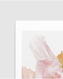 Olive et Oriel - Luxe Poppy III Art Print