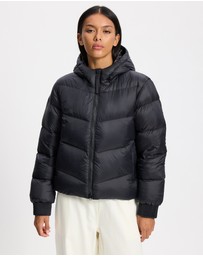 Patagonia - Sindit Hoodie Jacket