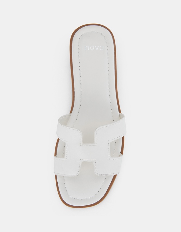 Novo - Sachie Slides
