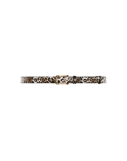 City Chic - Leopard Belt