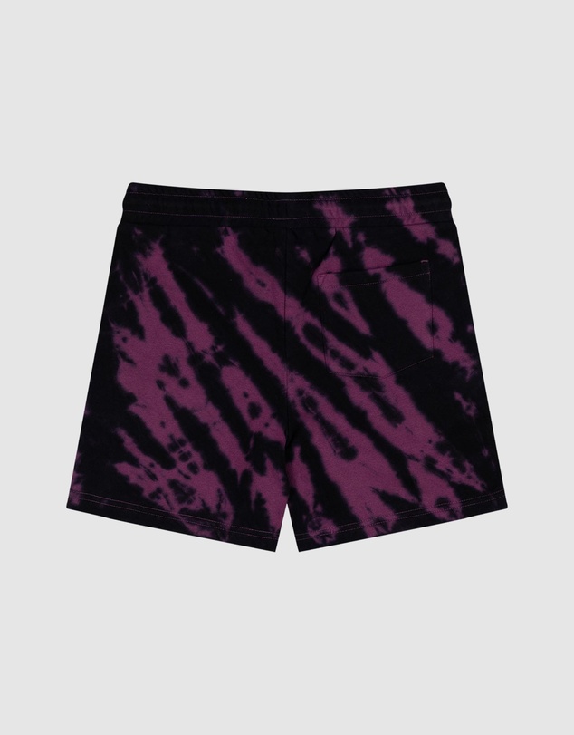 Santa Cruz - Not A Dot Hollow Track Shorts - Teens