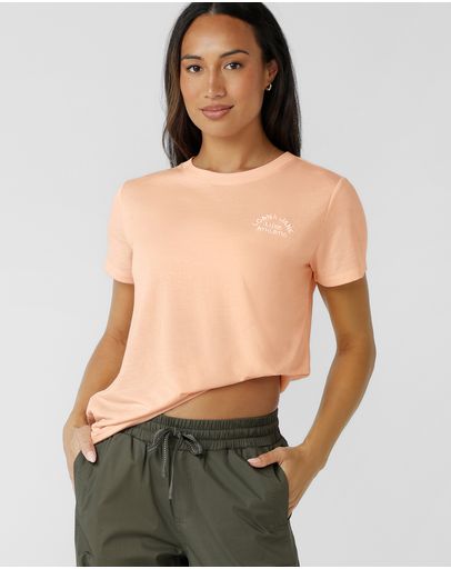 Pale Peach