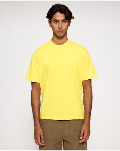 8288 Yellow Meadowlark