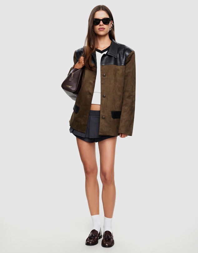 Lioness - Constance Blazer