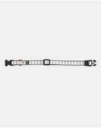 Mog & Bone - Neoprene Dog Bundle- Latte Hampton Stripe
