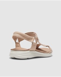 Active Flex - Native