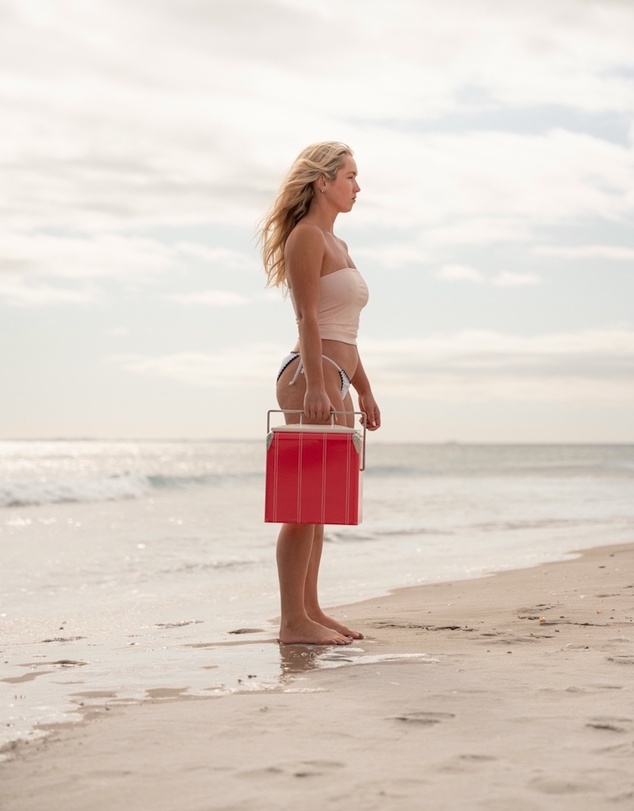 Napoleon Goods - Mini Cooler