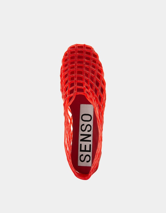 Senso - Jellie