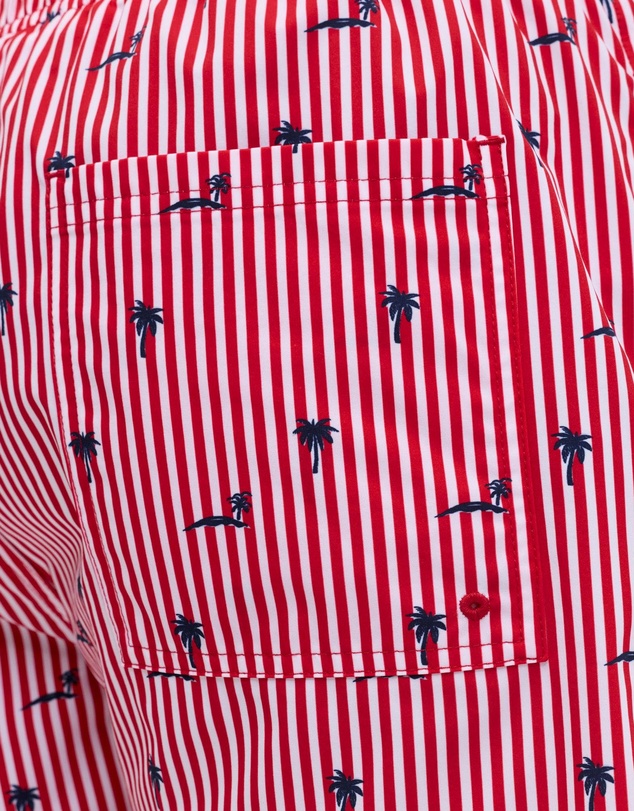 Jack & Jones - Jpstmaui Breeze Mini Stripe Swim Shorts