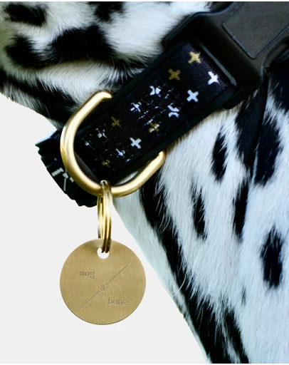 Mog & Bone - Mog & Bone ID Tag - Brass
