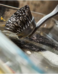 Joseph Joseph - SinkTech™ Dish Brush with Stainless Steel Storage Stand