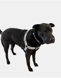 Mog & Bone - Hemp Harness - Black Wave