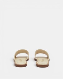 GUESS - Graysie4 Slides