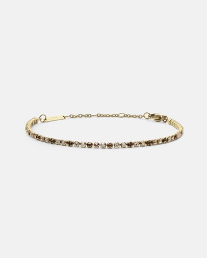 Daniel Wellington - Classic Tennis Bracelet Honey Combo