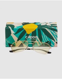 Caddis - Hooper