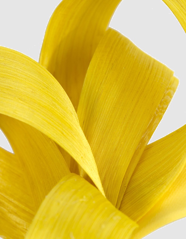 Fillies Collection - Yellow Silk Abaca Loops Racing Fascinator