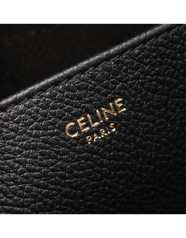 Pre-Loved by Azura Reborn - Pre-Loved Medium Grained Calfskin Cuir Triomphe Cabas Anais Tote
