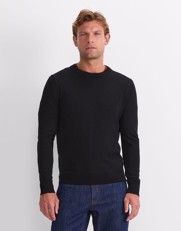 Sportscraft - Merino Crew Neck Knit
